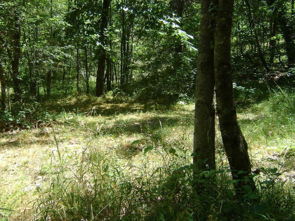 Camping Le P'Tit Bonheur Escaro Экстерьер фото